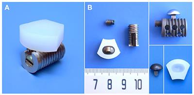 Biomechanical Analysis of Cervical Artificial Disc Replacement Using Cervical Subtotal Discectomy Prosthesis